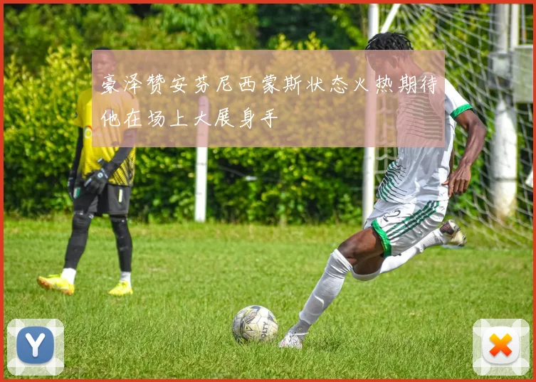 豪泽赞安芬尼西蒙斯状态火热期待他在场上大展身手