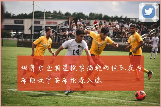 坦普尔全明星投票揭晓两位队友与布朗坎宁安布伦森入选