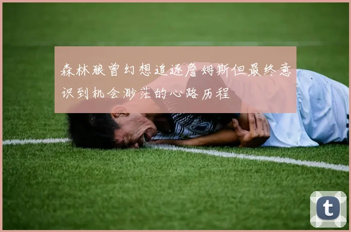 森林狼曾幻想追逐詹姆斯但最终意识到机会渺茫的心路历程